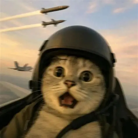 哈基米